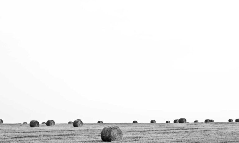 installation guide gmrrmulator