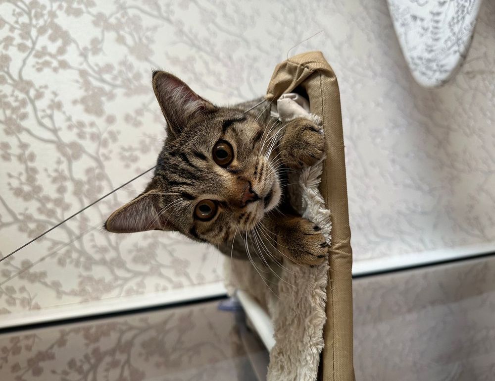 jogameplayer gaming system reviews by javaobjects