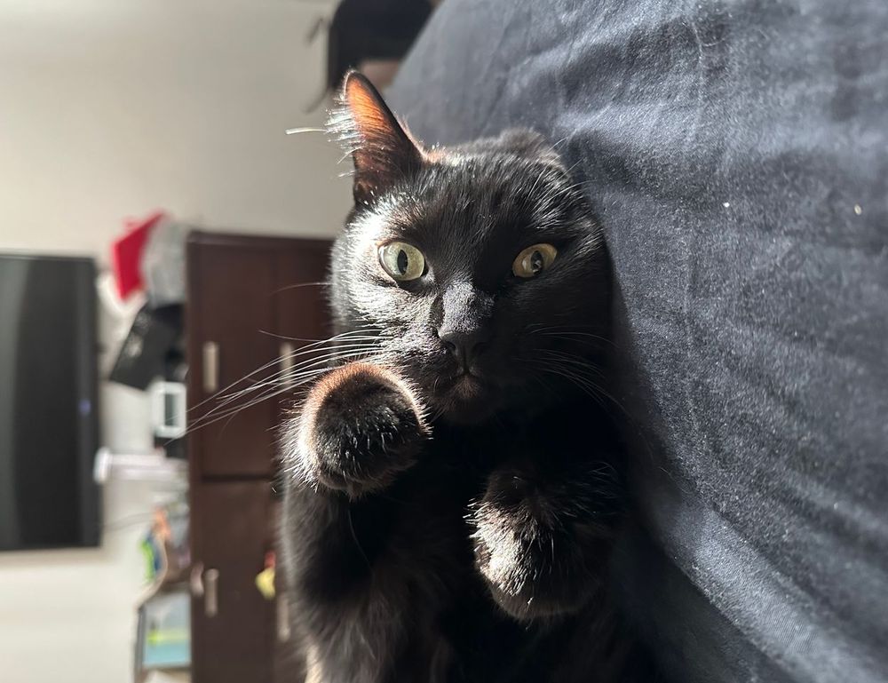 latest gaming event tportvent