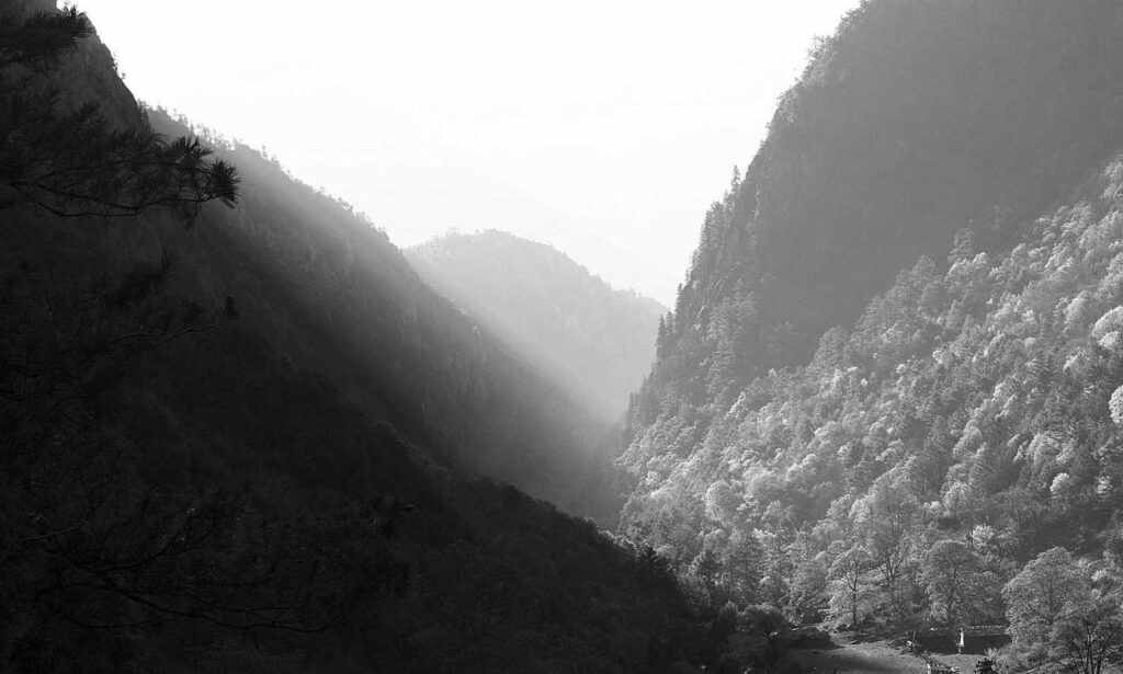 latest gamiong event tportvent