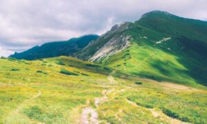 multiplayer tips togamesticky