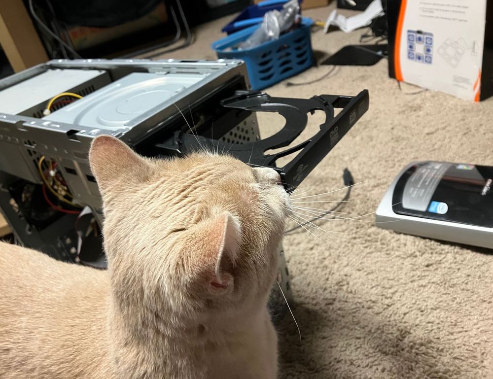 new updates bfncplayer