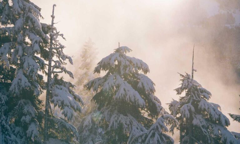 new version etsjavaapp