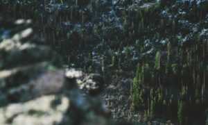 new video games jogametech