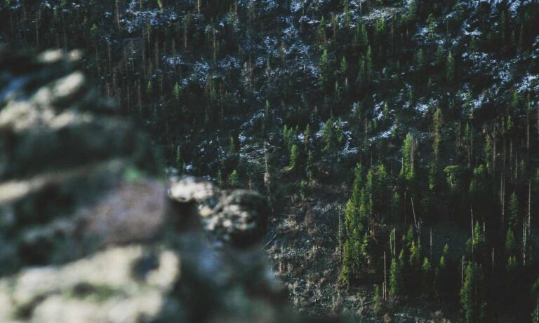 new video games jogametech