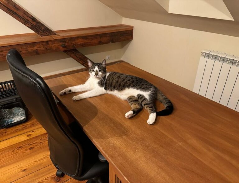 online gaming bfnctutorials