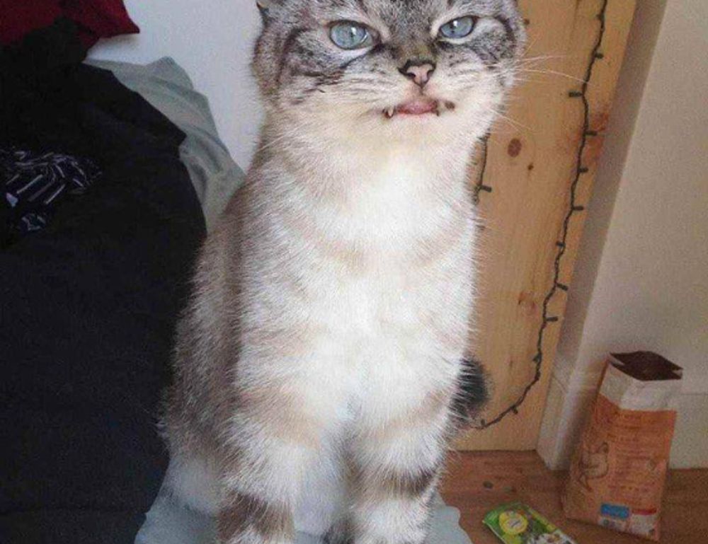 online gaming event pblgamevent