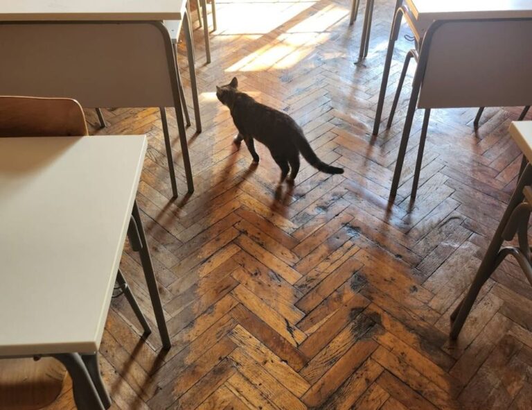 pc gaming bfnctutorials