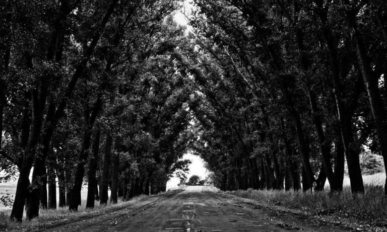 players hstatsarcade