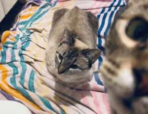 recommended gaming pc build tportesports