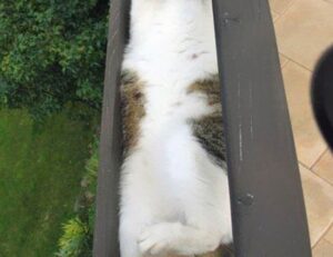 registration guide tportvent