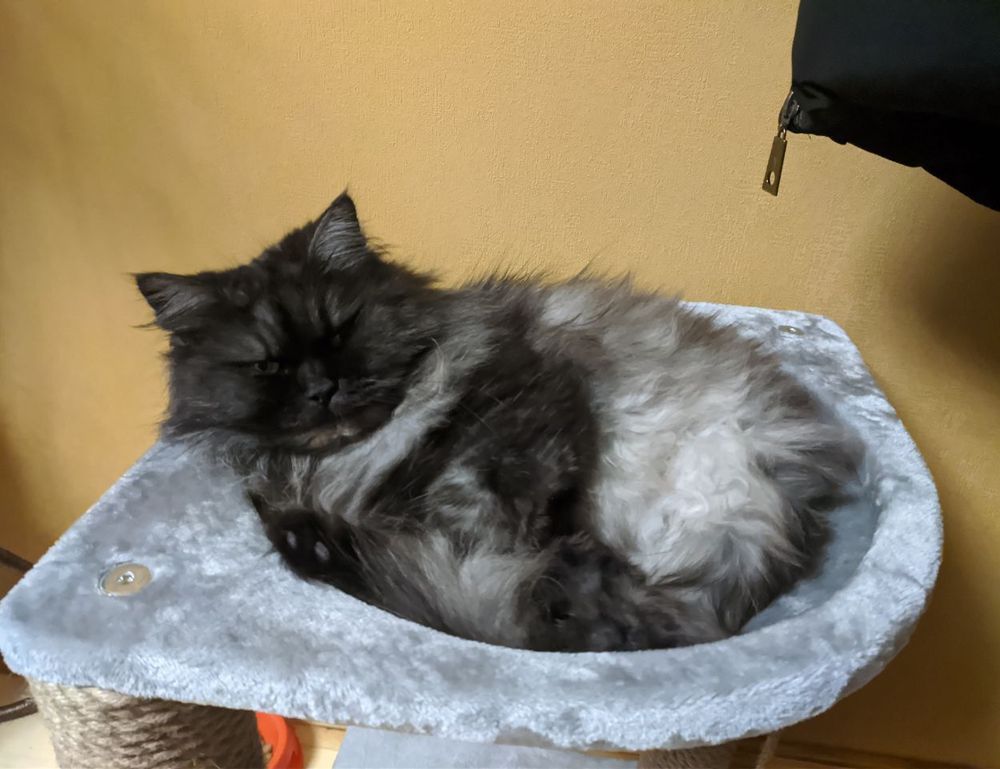 registration tutorial tportvent