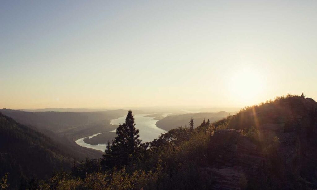 should i buy togamesticky