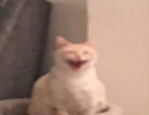 storiesads tgarchirvetech essential gaming tips