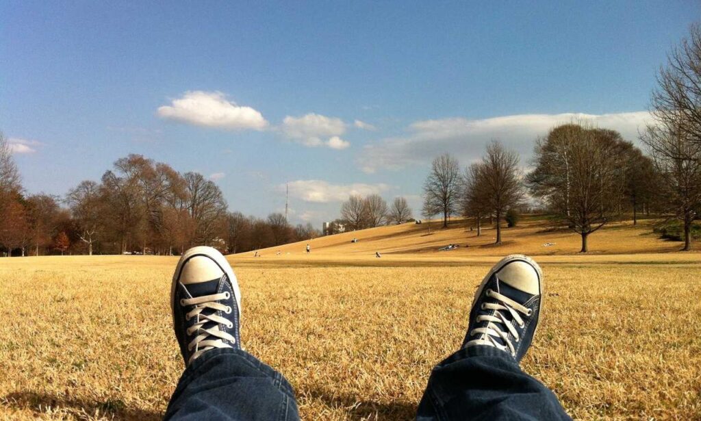 tech news tportulator