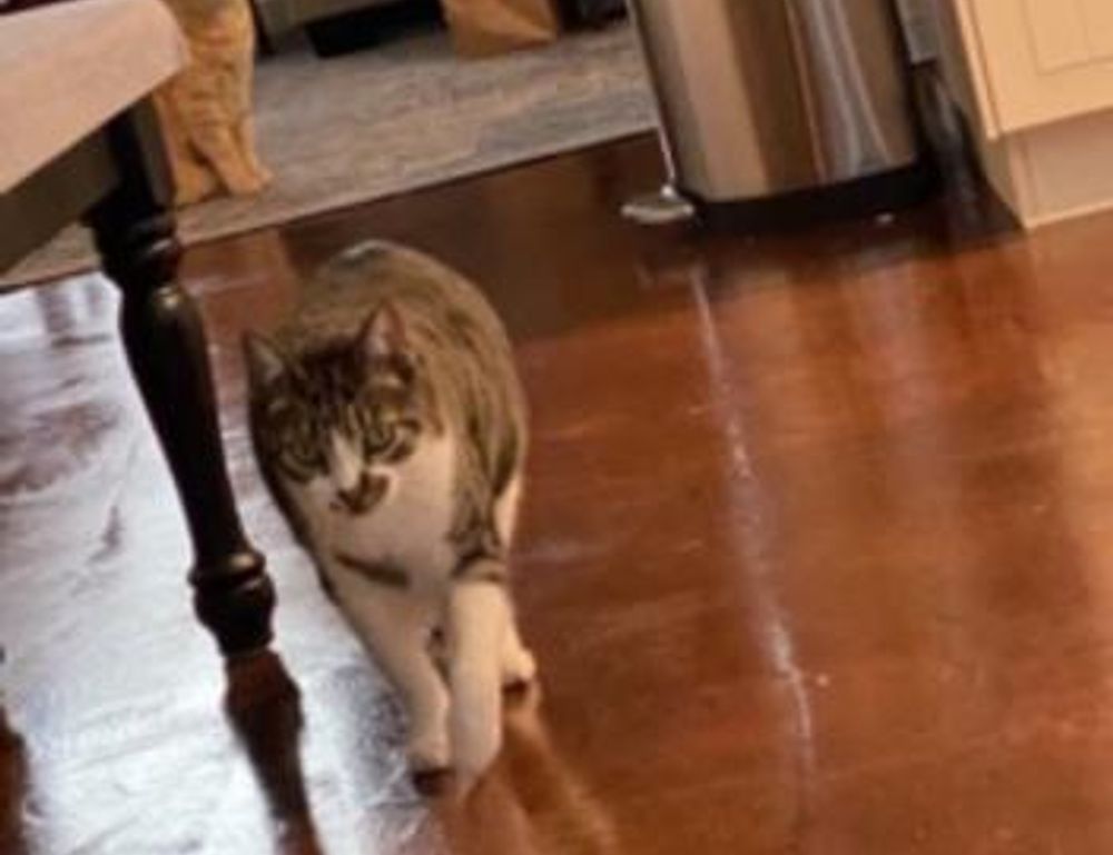 tgagamestick controller release date