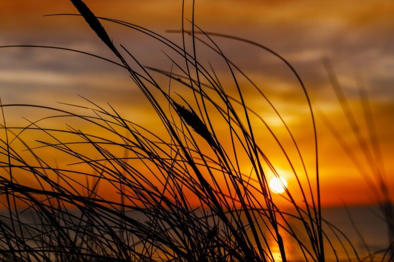 tgarchirvetech gaming