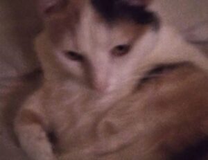 tgarchirvetech gaming trends