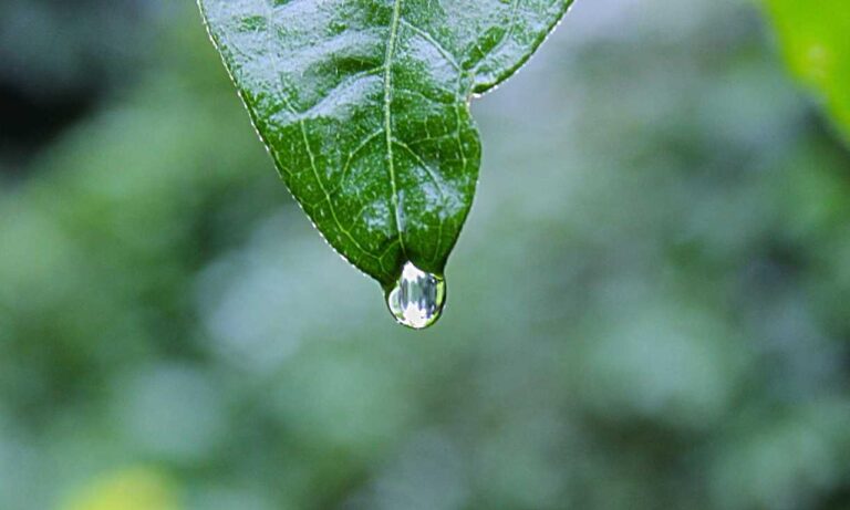 tips playing online slots bfncplayer