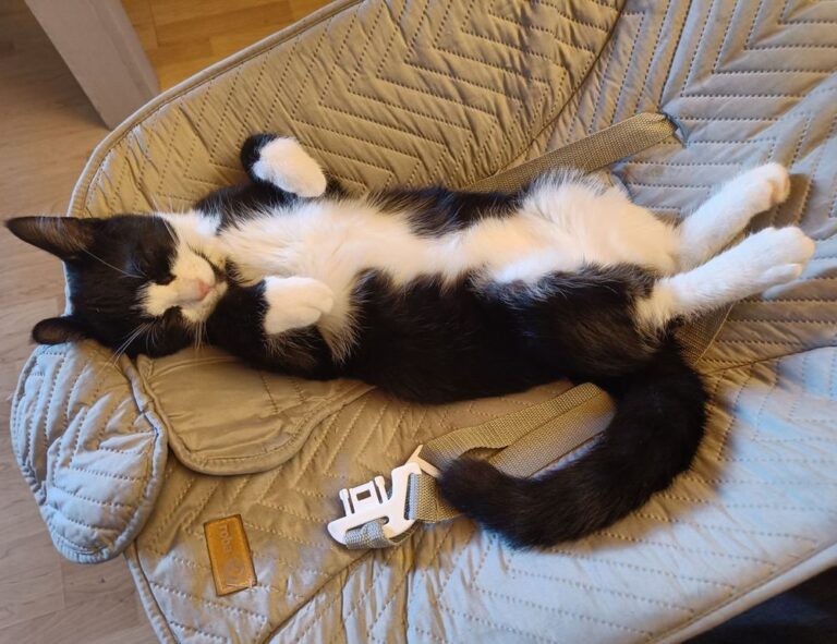 togamesticky gaming hacks from thinkofgamers