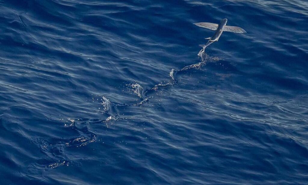 togamesticky gaming hacks from thinkofgamers