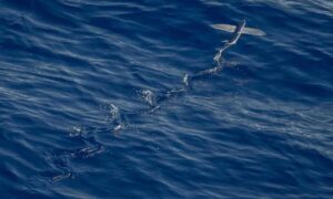 togamesticky gaming hacks from thinkofgamers