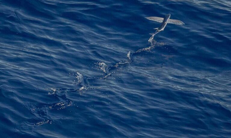 togamesticky gaming hacks from thinkofgamers