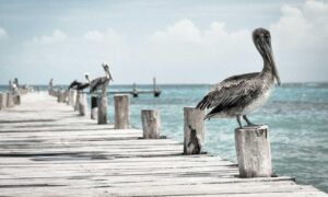 togamesticky new gamestick from thinkofgamers