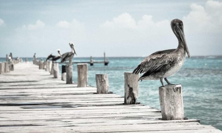 togamesticky new gamestick from thinkofgamers