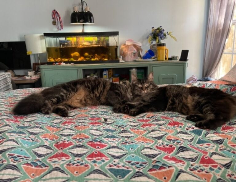 togamesticky new gamestick from thinkofgamers