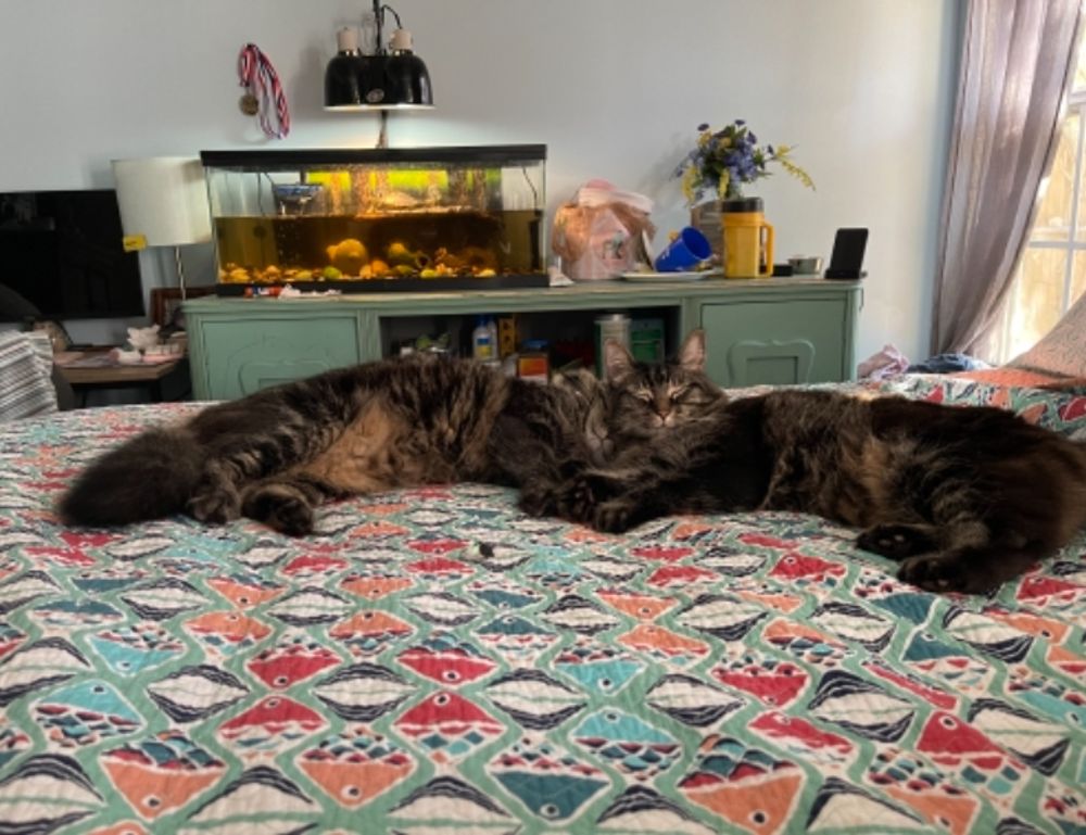 togamesticky new gamestick from thinkofgamers