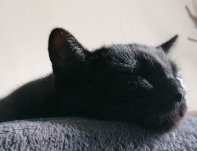 tportgametek game trends from theportablegamer