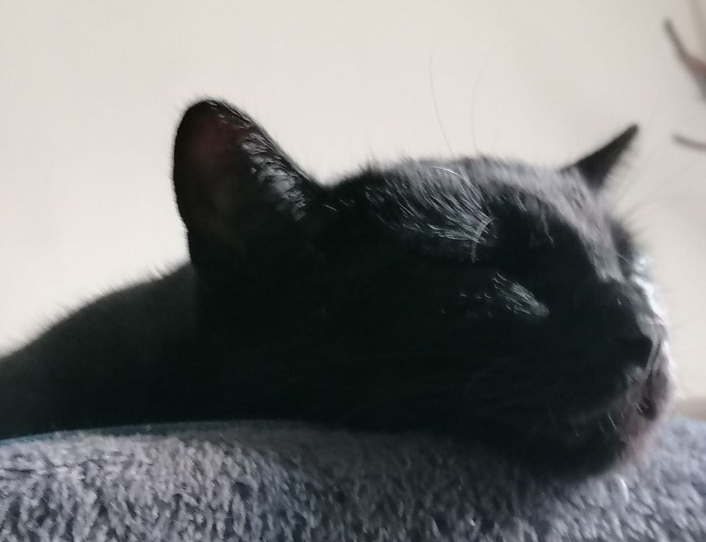 tportgametek game trends from theportablegamer