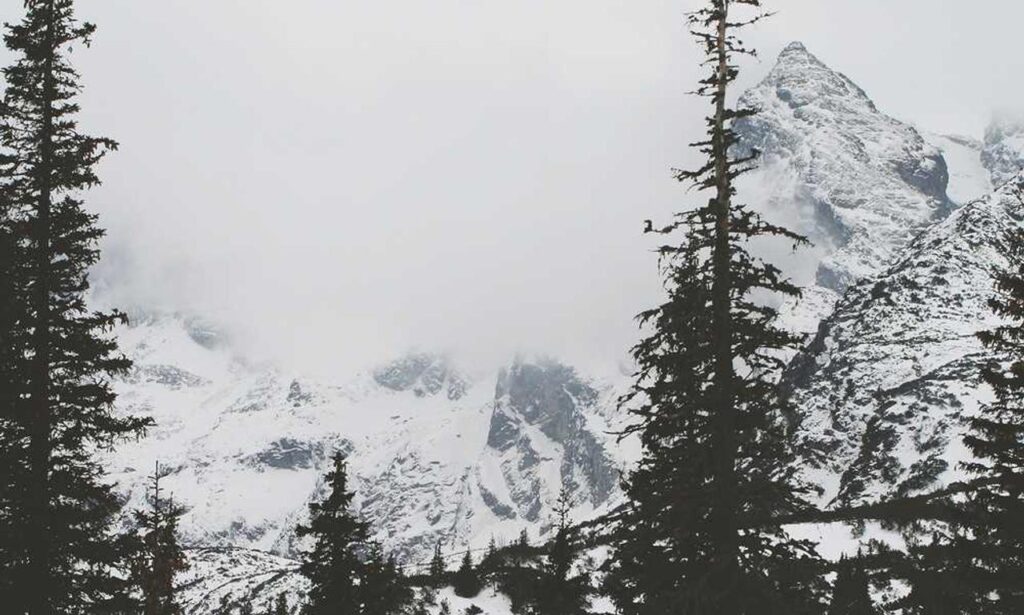 tportvent online tournament by theportablegamer