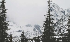 tportvent online tournament by theportablegamer