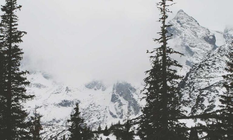 tportvent online tournament by theportablegamer