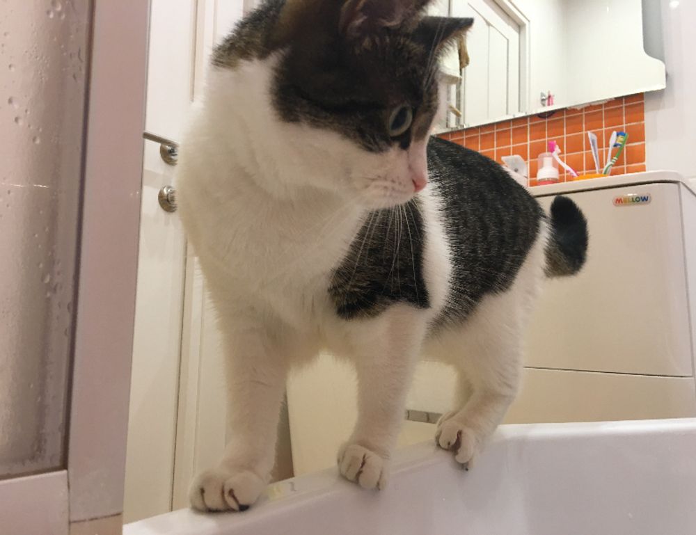 tutorials game tportgametek