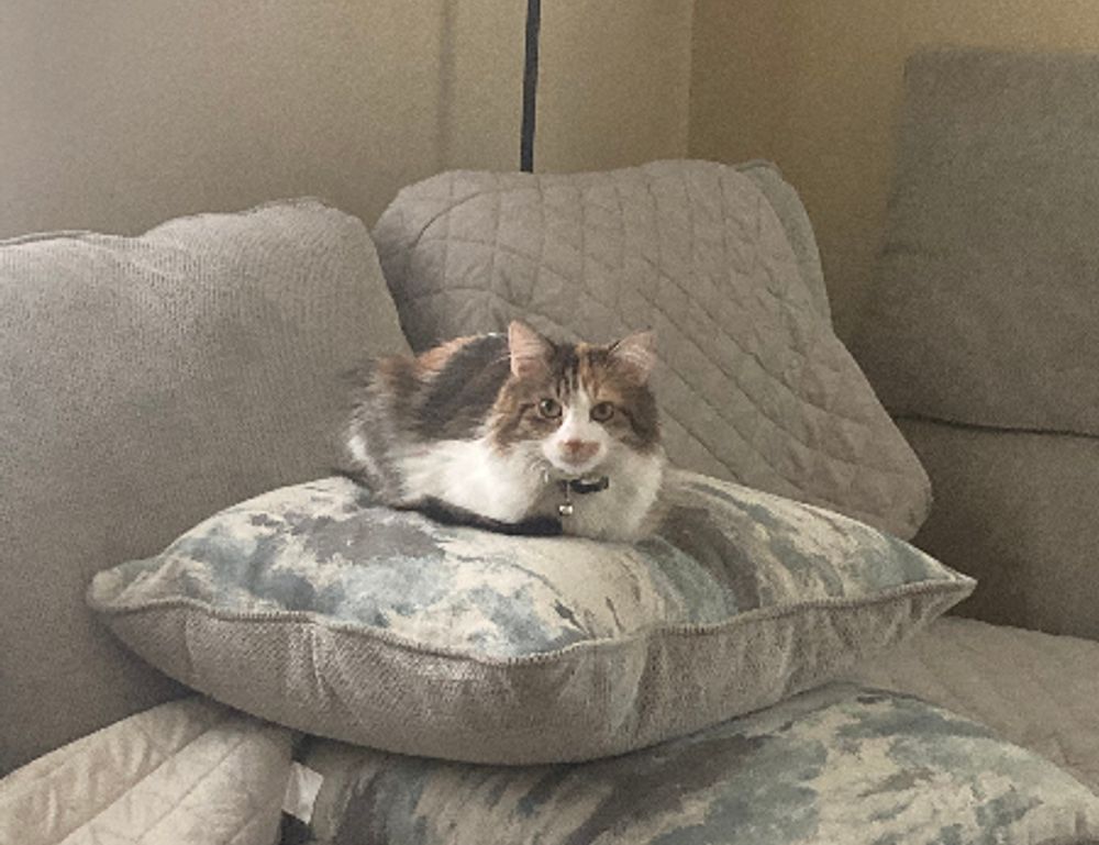 what games can you hack togamesticky