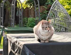 what is new in gaming technology jogametech