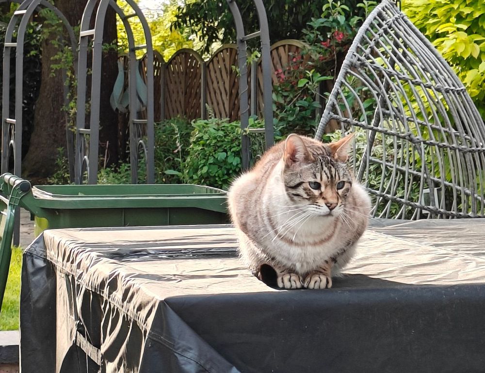 what is new in gaming technology jogametech