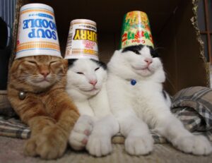 what new game just came out jogameplayer