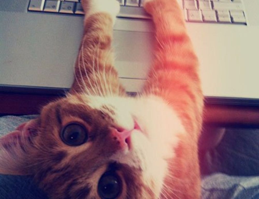 what new gaming systems are coming out jogametech