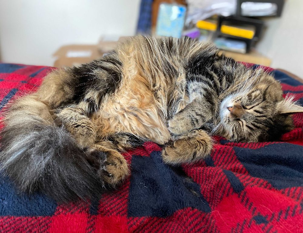 where to find togamesticky