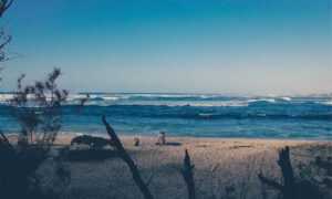 which game engine should i use tportgametek