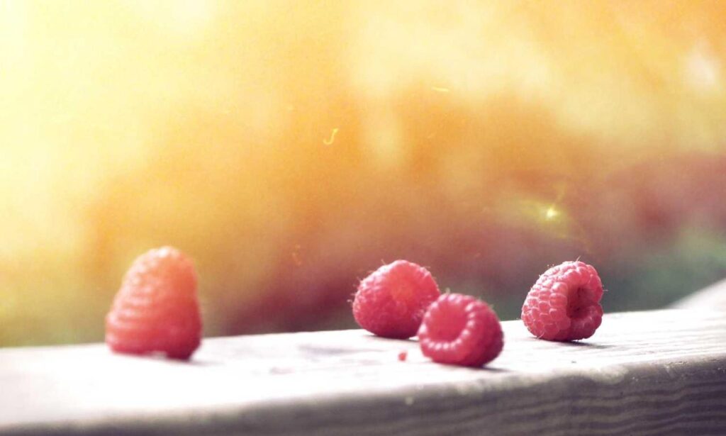 which gaming monitor should i buy gamrawresports