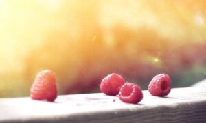 which gaming monitor should i buy gamrawresports