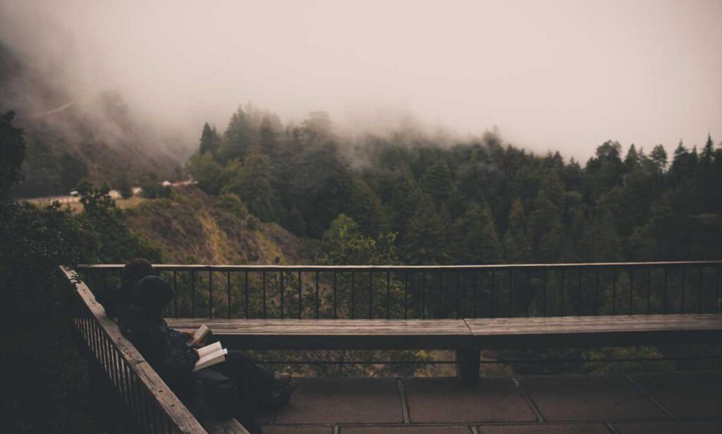 which online games is the most popular feedgamebuzz