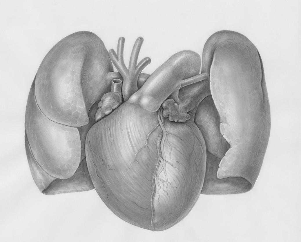 Manual Hearthssconsole