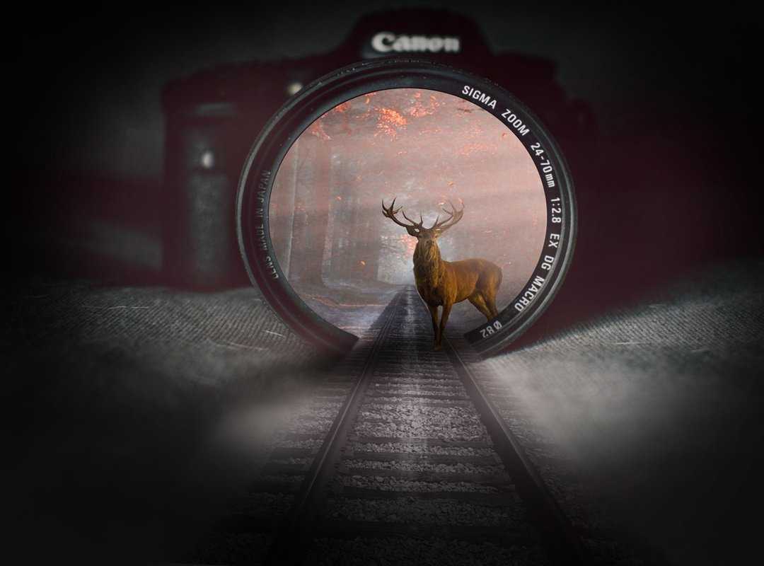 The Online Tournament Tportvent