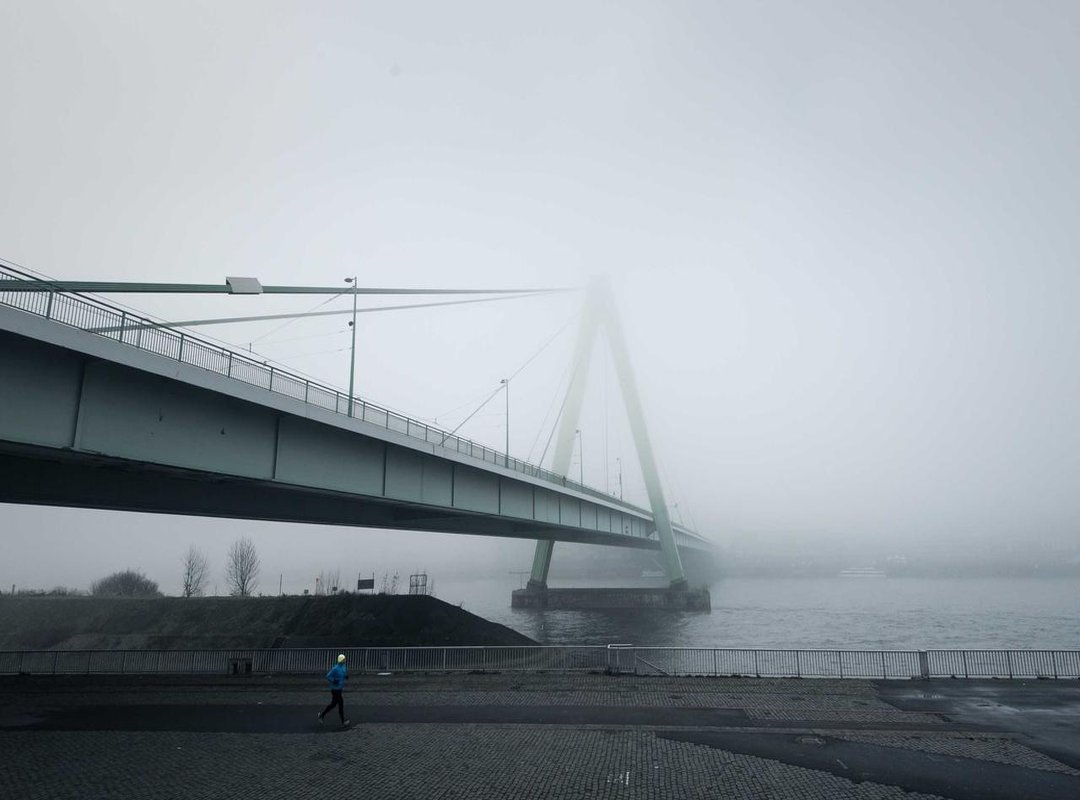 The 'Tara' Connection: What Does It Mean?